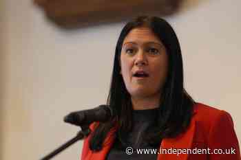 Lisa Nandy to meet TikTok amid ‘epidemic’ of dangerous behaviour on social media