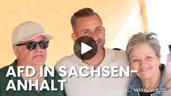 Vom Außenseiter zum Polit-Popstar: Ulrich Siegmund und der Aufstieg der AfD