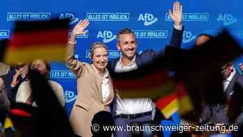 Ein Wahlforscher hat die Wahrscheinlichkeit eines AfD-Wahlsiegs ausgerechnet