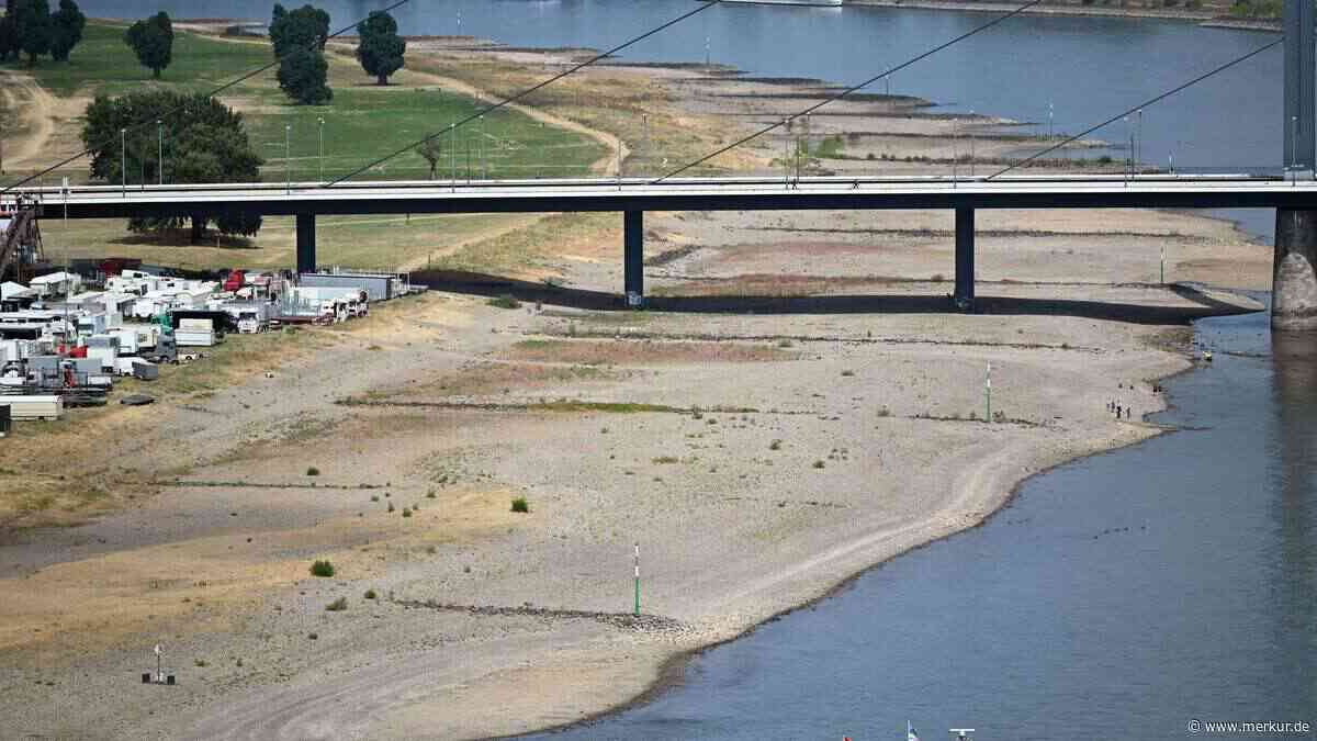 Niedrigwasser am Rhein: Beliebte Ausflugsfahrten fallen jetzt aus
