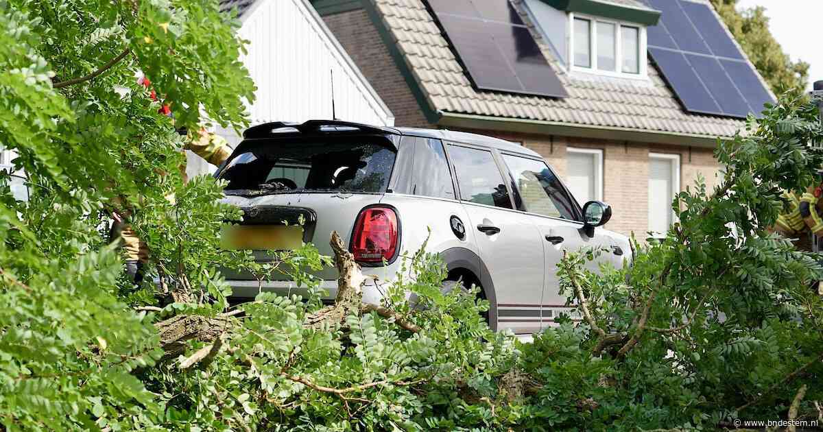 Tak valt op auto in Dongen, bestuurster komt met schrik vrij