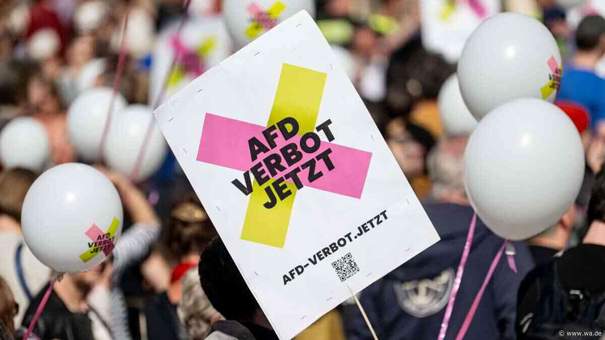 AfD-Verbot: Vor fast 100 Jahren scheiterte bereits ein ganz ähnlicher Vorstoß