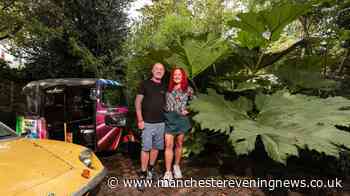 The cool Salford jungle garden people pay to visit reopens this weekend