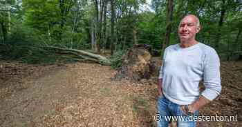Bomen blijven liggen, maar ex-brandweerman vreest onbeheersbare brand: ‘Het zijn lucifers’