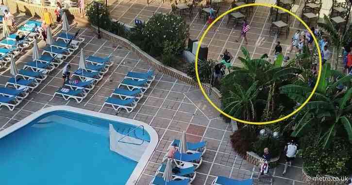 Sunbed wars take a bizarre twist after holidaymakers jump through bushes