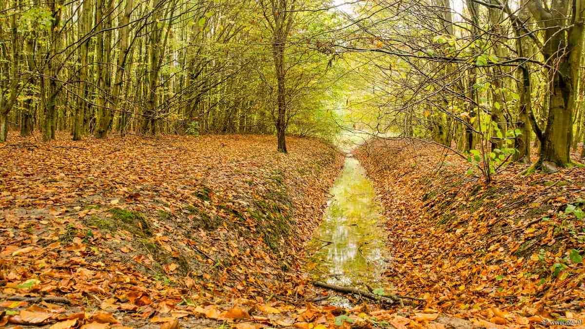 Droogtemaatregelen nemen af, maar herstel grondwaterstand duurt nog jaren