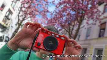Frau kauft Kamera bei eBay und macht beim Einschalten eine unerwartete Entdeckung