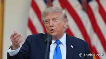 Trump urges Republicans in tight races to run on his record