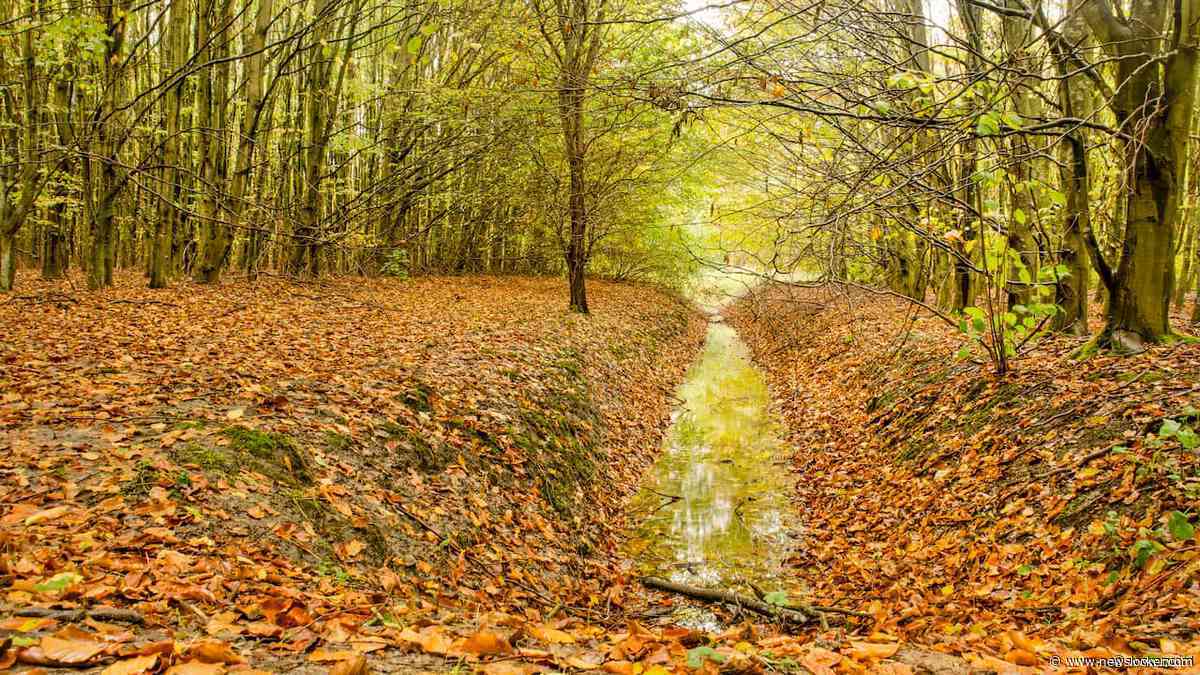 Droogtemaatregelen nemen af, maar herstel grondwaterstand duurt nog jaren