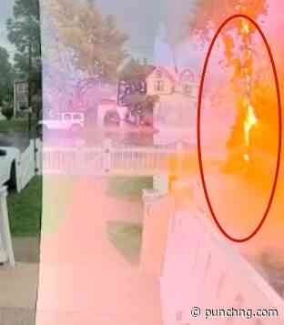 VIDEO: I felt burning, US man recounts surviving direct lightning strike
