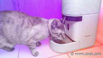 My Cat and I Tested Petlibro’s New Smart Feeder That Data-Tracks Food Intake. We Have Thoughts