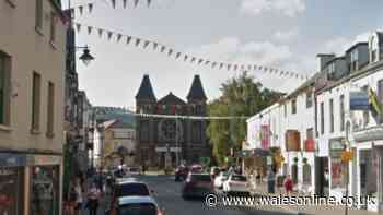 Firefighters rescue boys 'from height' after being called to Abergavenny town centre