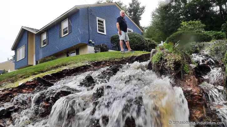 In 1999, scientists dropped 45 tons of wollastonite over a 29-acre New Hampshire watershed