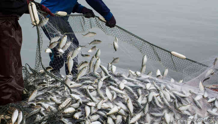 Cybercrooks trawl Fishbrain to net password hashes
