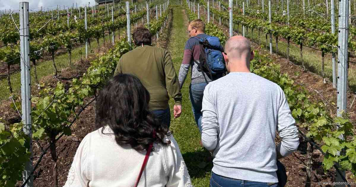 Lekker weg in eigen land: bezoek binnenkort een wijngaard in de buurt van Deventer