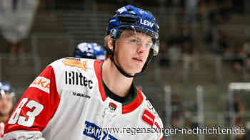 Sebastian Zwickl erh?lt F?rderlizenz f?r die Eisb?ren Regensburg