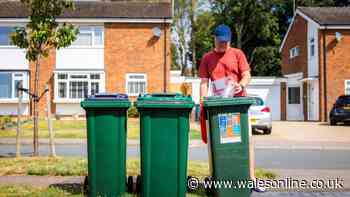 Binmen may reject your recycling if they find common wardrobe item inside