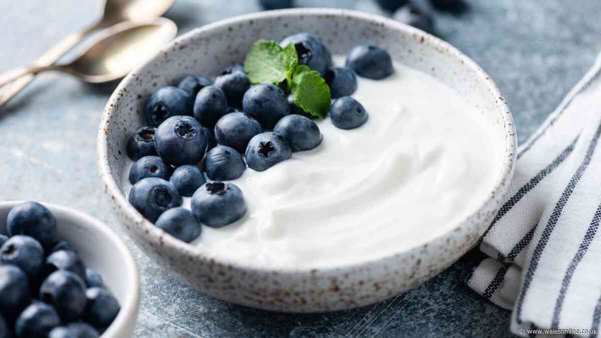 Dr Amir Khan's warning to people who eat yogurt — 'your body will thank you'