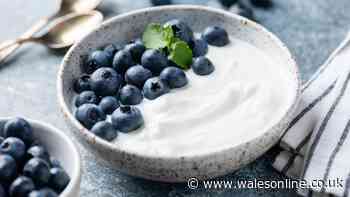 Dr Amir Khan's warning to people who eat yogurt — 'your body will thank you'