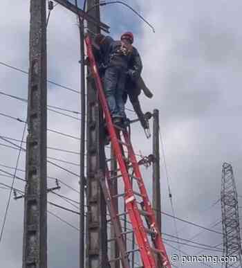 VIDEO: IKEDC worker rescued after suffering electric shock on Lagos power pole