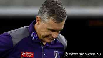 Dockers v Hawks player ratings: From a skipper’s career night, to the gun forwards who disappeared