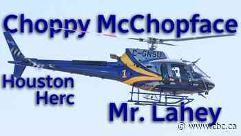 'Choppy McChopface' among favourite suggested helicopter names, N.S. documents show