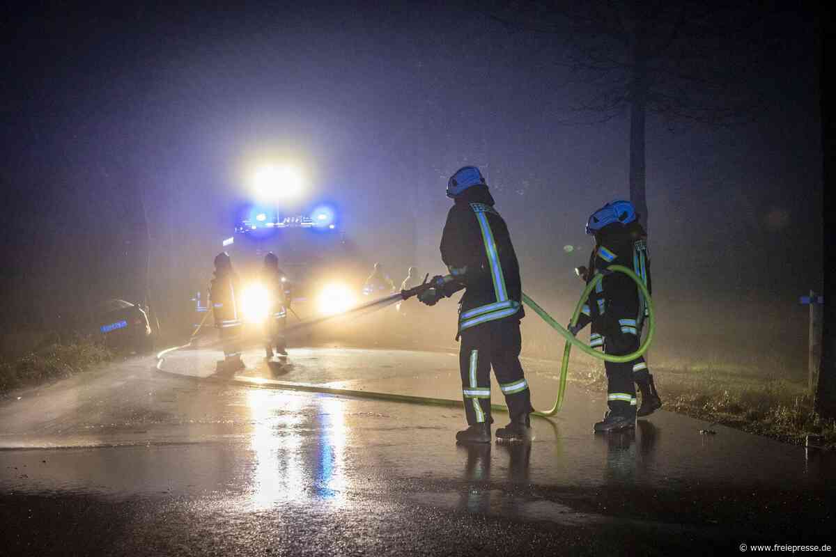 Unfall mit Pferden in Großschirma bei Freiberg: Wo kamen die Tiere plötzlich her?