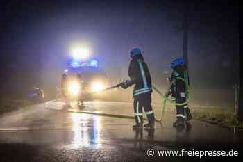 Unfall mit Pferden in Großschirma bei Freiberg: Wo kamen die Tiere plötzlich her?