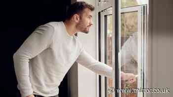 Close your windows by '7pm' advice as UK-wide mating season begins