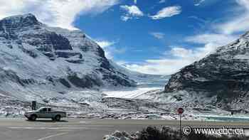 Man injured in tour bus roll-over at Alberta's Columbia Icefield
