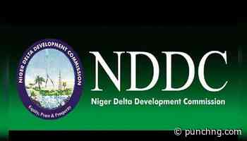 NSE reviews NDDC projects, highlight economic impact