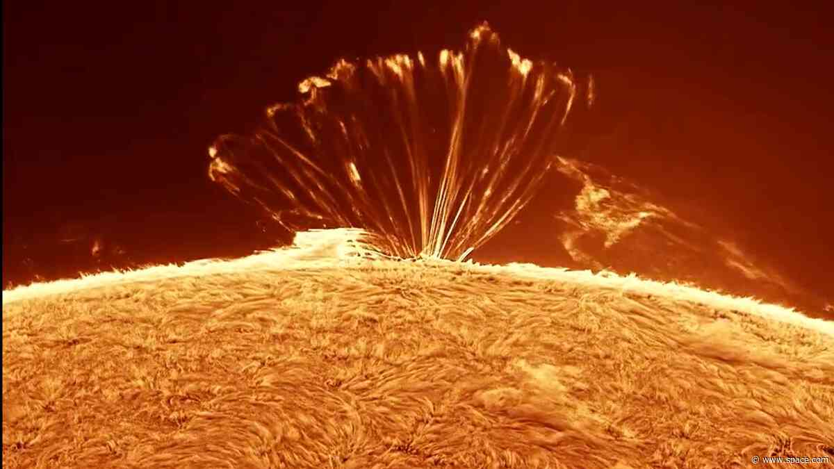 Mesmerizing plasma loops on the sun | Space photo of the day for Sept. 3, 2026