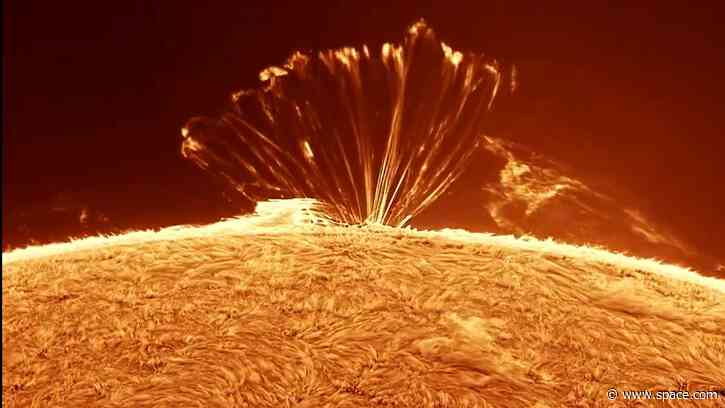 Mesmerizing plasma loops on the sun | Space photo of the day for Sept. 3, 2026
