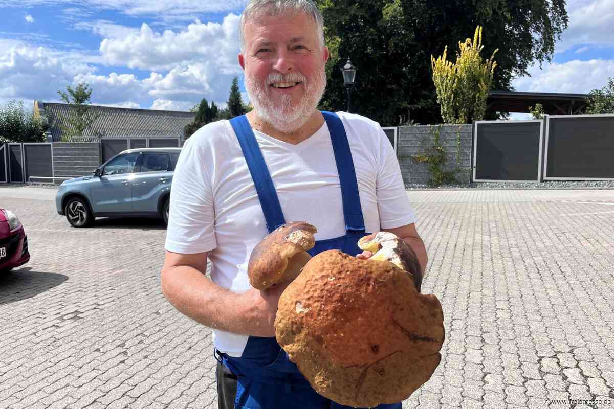 Erzgebirger im Steinpilz-Glück: Sammler hat Tipps für ein leckeres Rezept