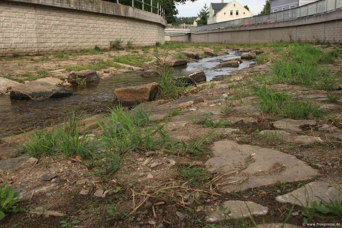 Göltzsch bei Rodewisch nur noch ein Rinnsal: Trocknet der Fluss aus?