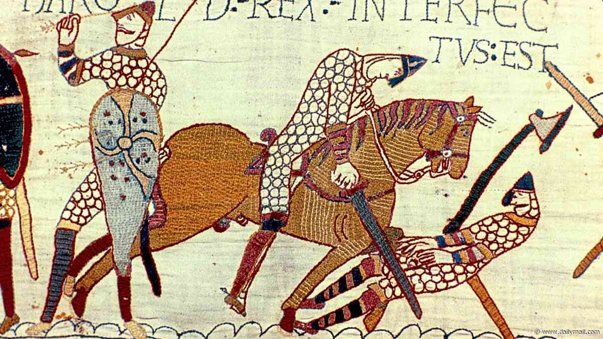 Was Harold II shot in the eye during the Battle of Hastings? Bayeux Tapestry curator shoots down popular theory - and says arrow stitching was 'certainly' added later