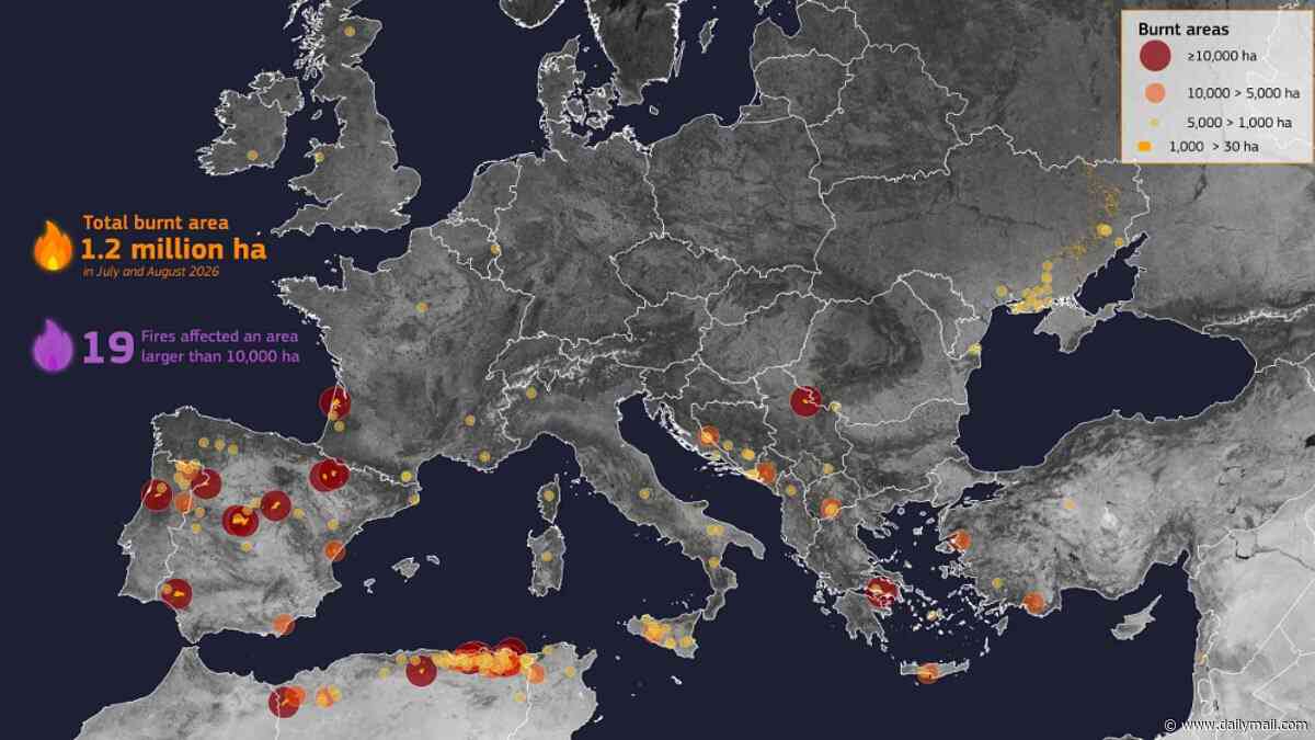 The true extent of Europe's summer wildfires: Map reveals how more than 1.2 million hectares were extensively burnt in July and August alone