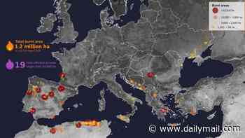 The true extent of Europe's summer wildfires: Map reveals how more than 1.2 million hectares were extensively burnt in July and August alone