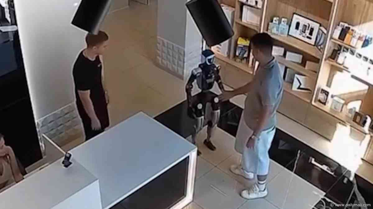 Robot 'attacks customer' using martial arts skills after he pushed it in technology store