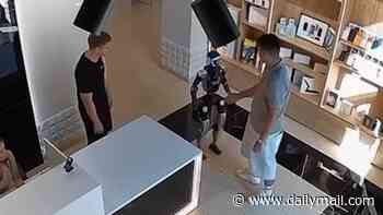 Robot 'attacks customer' using martial arts skills after he pushed it in technology store