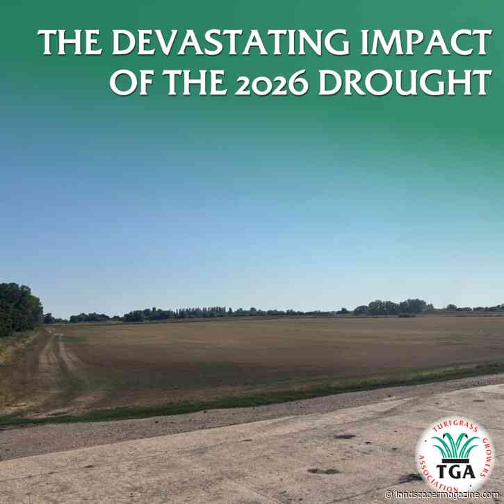 UK Turf Growers Highlight the Devastating Impact of the 2026 Drought