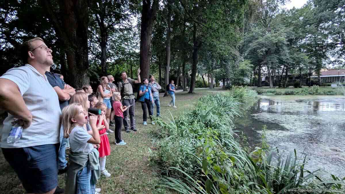 Kinder hören Fledermäuse – aber nur dank Detektor