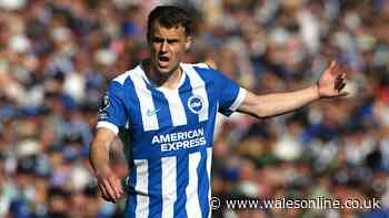 The Premier League free agents Swansea, Cardiff and Wrexham could sign right now