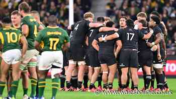 All Blacks cheating allegations emerge days before match as Springboks affronted