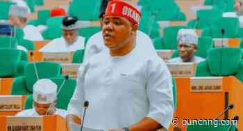 Reps deputy spokesman warns opposition against damaging Nigeria’s image