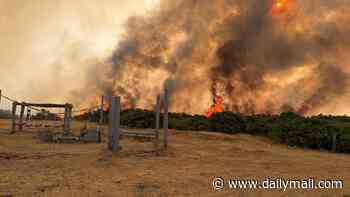 Labour urged to back simple law change that could help reduce droughts after hottest UK summer on record