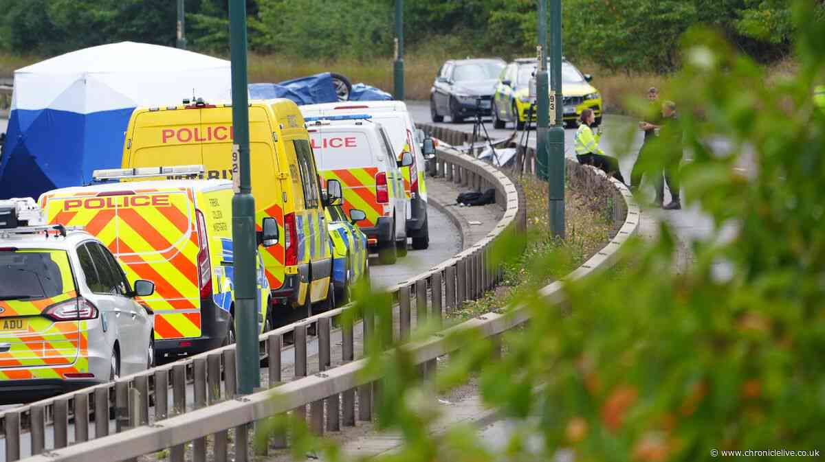 A66 crash prompts minister to meet TikTok amid ‘epidemic’ of dangerous behaviour