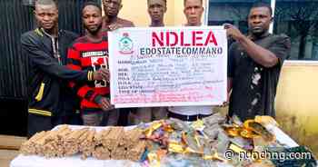 NDLEA arrests 68 suspects, seizes 7,500kg of drugs in Edo