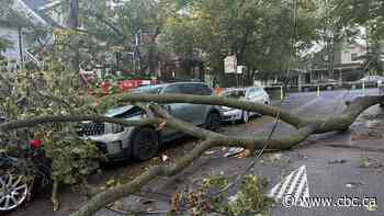 Rescues, power outages, and over 1,000 emergency calls: City speaks on cleanup after thunderstorm