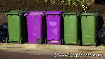 Binman shares the 'simplest' tip for knowing what goes in each bin